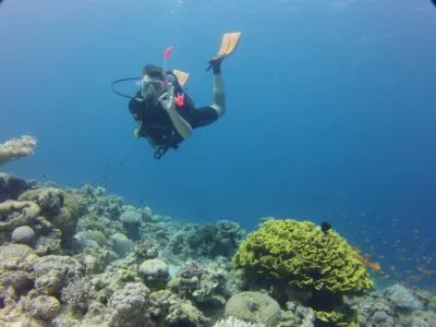 Duikend kijken naar het koraal in Aqaba Jordanië