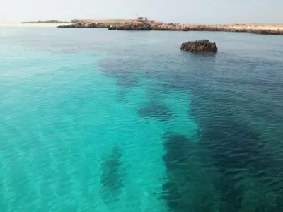 Daymaniyat Island