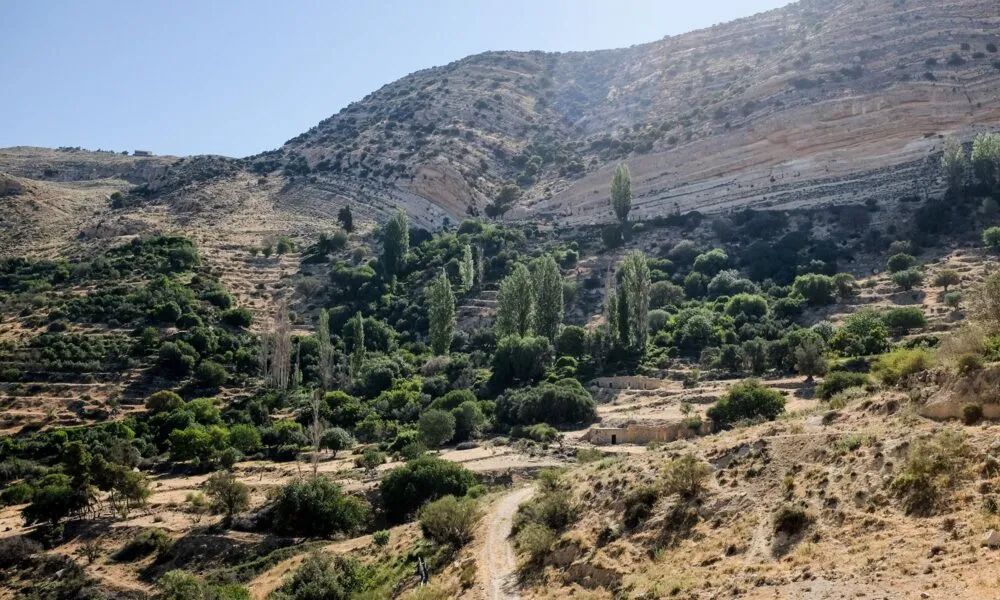 Natuurpark Dana in Jordanië