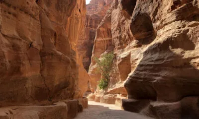 Kloof Jordanië