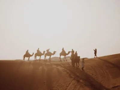 Kamelen In De Woestijn Bij Merzouga Marokko