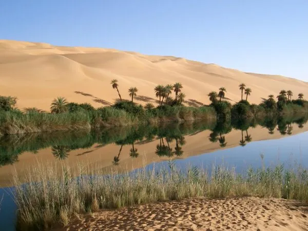 Een oase in Egypte