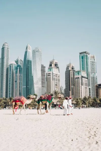 Twee mannen met twee kamelen die op het strand lopen in Dubai