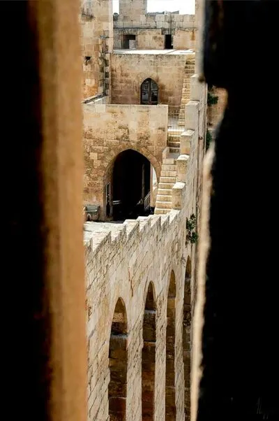Citadel of Aleppo in Syrië