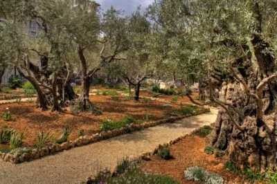 Gethsamene in Israël