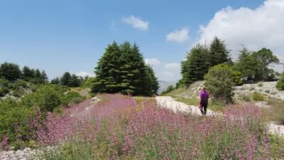Chouf natuurgebied in Libanon