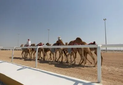 Een kamelenrace in Oman