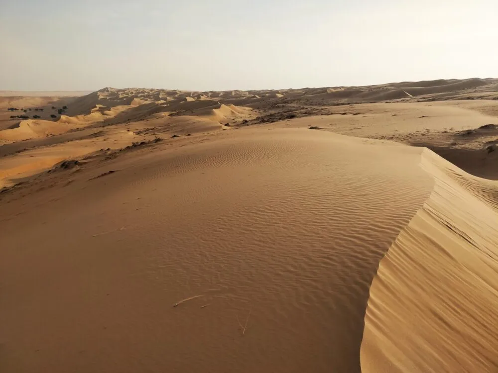 Wahabi sands woestijn