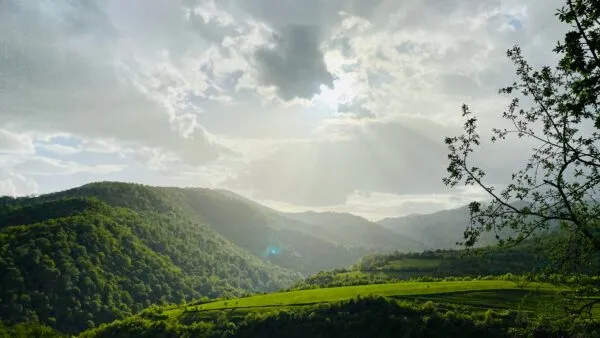 Dilijan Natuur Groen Bergen Wolken