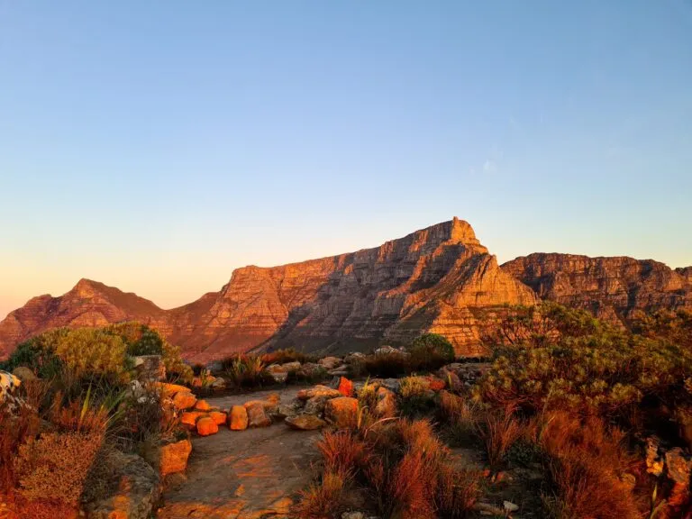 Zuid Afrika Hoogtepunten Tafelberg Dichtbij
