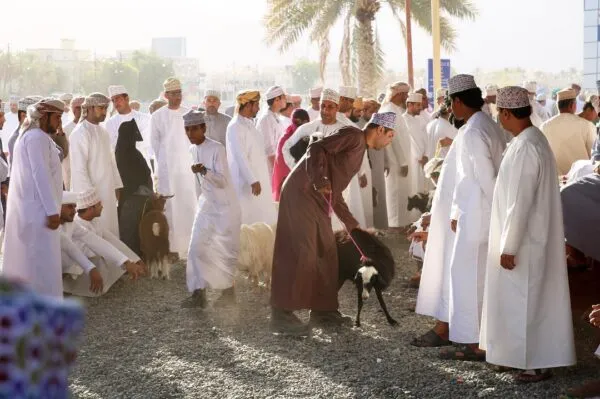 Nizwa Geitenmarkt
